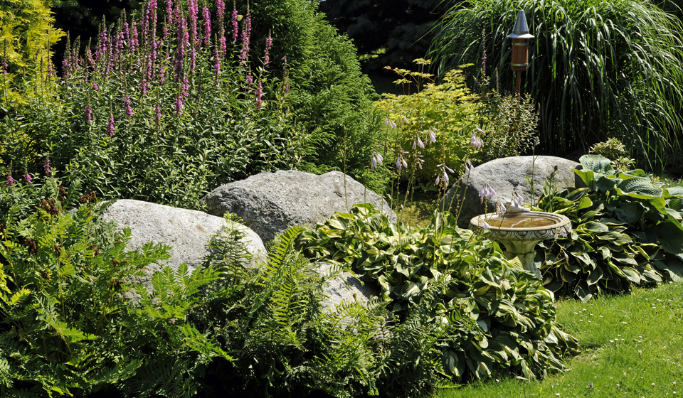 Ein wildes und dichtes Gartenbeet mit Felsbrocken und Farnen